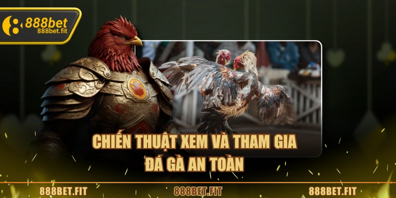 Đá Gà Thomo - Trải Nghiệm Kịch Tính Thu Hút Người Chơi 6 Chiến thuật xem và tham gia đá gà an toàn