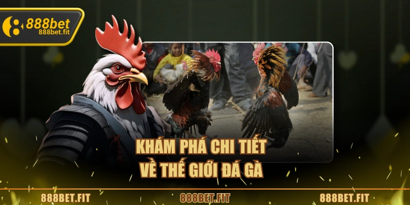 Đá Gà Thomo - Trải Nghiệm Kịch Tính Thu Hút Người Chơi 5 Khám phá chi tiết về thế giới đá gà
